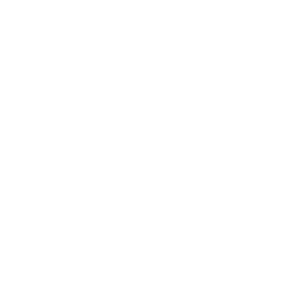 shopping cart icon, white on transparent background